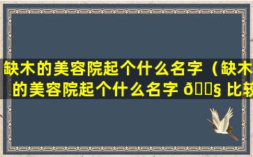 缺木的美容院起个什么名字（缺木的美容院起个什么名字 🐧 比较好）